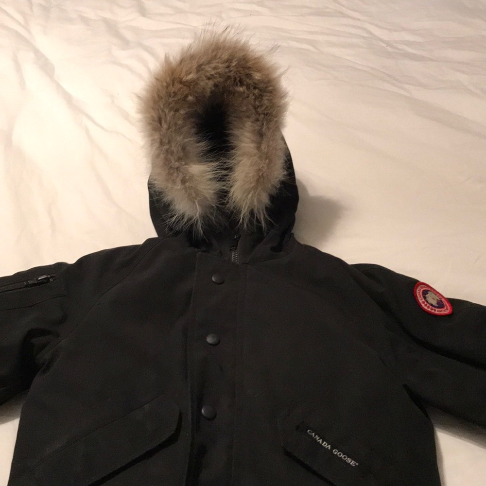 Canadian goose